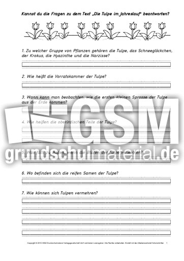 Die-Tulpe-im-Jahreslauf-Fragen-beantworten.pdf